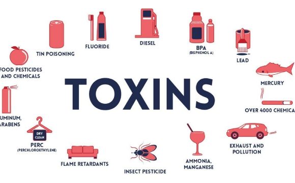 How synthetic chemicals and toxins effect your health