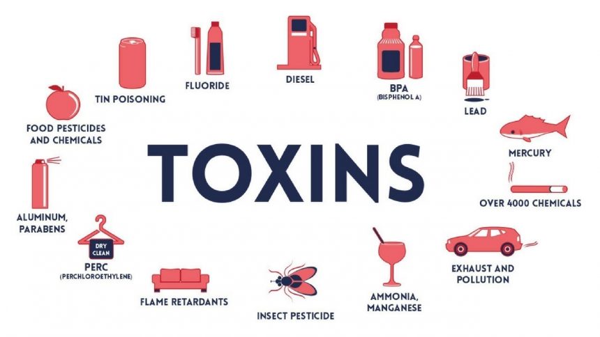 How synthetic chemicals and toxins effect your health